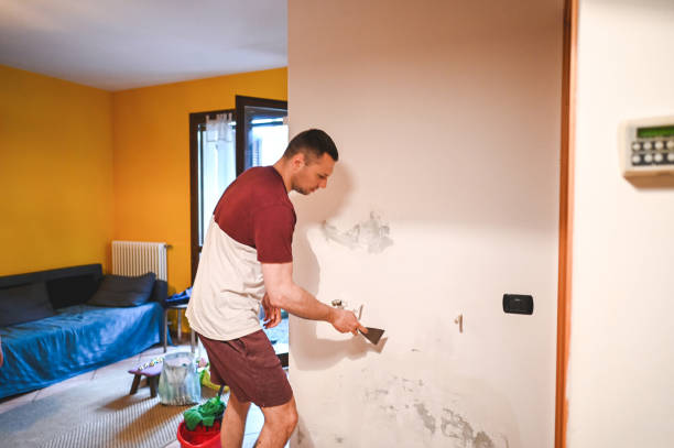 Best Commercial Mold Remediation in Martinsburg, WV